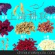廠家直銷 GLFS-100g 飛馬咖啡機(jī)
