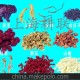 廠家直銷 GLFS-100g 原汁機(jī)榨汁機(jī)