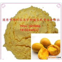 蛋黃果粉 蛋黃果速溶粉 臺(tái)灣雞蛋果純粉 全水溶 獅頭果粉 水溶獅頭果粉