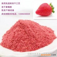 水果粉凍干設(shè)備