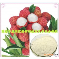 荔枝濃縮汁粉全溶于水 批發(fā)荔枝果粉飲品原料 荔枝速溶粉批發(fā)價(jià)
