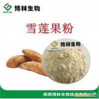 雪蓮果提取物 植物提取物  雪蓮果粉10:1