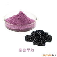 匯能達(dá) 桑葚果粉 桑葚濃縮粉 水溶性桑葚濃縮汁 桑葚提取物