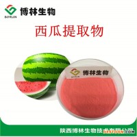 博林生物 西瓜提取物 西瓜粉 西瓜果粉 現(xiàn)貨供應(yīng) 源頭廠(chǎng)家