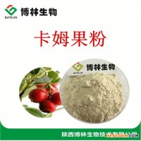 速溶卡姆果果粉|提取物10:1 20:1   沖劑原料  包郵