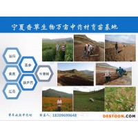 鹽膚木果提取物批發(fā)價(jià)格 五倍子粉130目 鹽膚木濃縮浸膏生產(chǎn)商