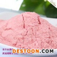 水果粉凍干代加工  真空冷凍干燥機(jī)