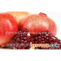 紅石榴濃縮液出廠價(jià) 供應(yīng)紅石榴原漿 鮮汁 紅石榴提取液經(jīng)銷商