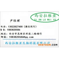 供應(yīng)食品級奇異果粉末香精廠家  奇異果粉末香精生產(chǎn)廠家