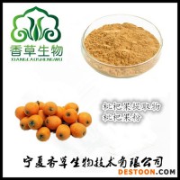 枇杷提取物生產(chǎn)廠家 枇杷果粉 濃縮汁粉 枇杷核粉 濃縮液廠家現(xiàn)貨