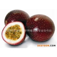 百香果粉 包郵 1kg百香果濃縮粉 固體飲料原料百香果味飲品 百香果速溶粉