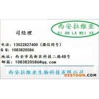 食品級(jí)芒果香精生產(chǎn)直銷 食用江大芒果粉末香精價(jià)格優(yōu)惠