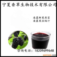 寧夏香草生物 桑葚果粉 酵素液 桑葚鮮果濃縮汁 桑葚速溶粉 浸膏廠家現(xiàn)貨