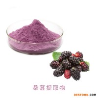 匯能達(dá) 桑葚提取物 桑葚果粉 桑葚濃縮粉 水溶性桑葚濃縮汁