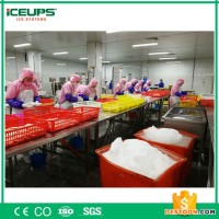 食品加工制冰機 日產(chǎn)量25噸 水產(chǎn)加工用制冰機 大型片冰機 制冰機