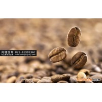 進(jìn)口咖啡豆批發(fā)公司，上海進(jìn)口咖啡豆批發(fā)價格，尚緹供