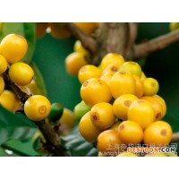 上海巴西咖啡豆進(jìn)口報(bào)關(guān)流程