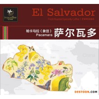 【一件代發(fā)】愛(ài)韋咖啡 中美洲優(yōu)選咖啡豆 薩爾瓦多 帕卡馬拉2