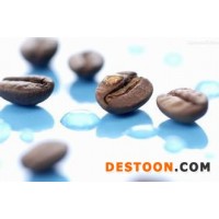 浙江進(jìn)口咖啡豆清關(guān)費用和所需單證
