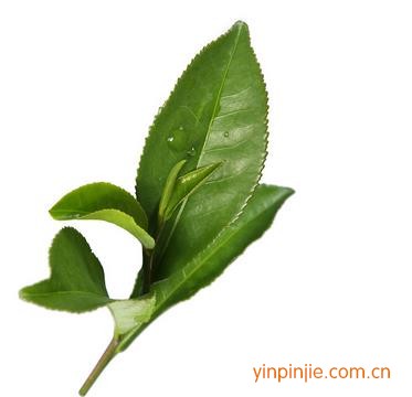 經(jīng)濟(jì)開發(fā)區(qū)四海香茶業(yè)總匯
