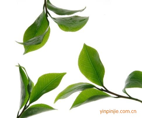 通城縣雙獅茶業(yè)有限責任公司