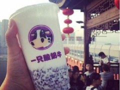 一只酸奶牛為加盟商打造致富平臺！
