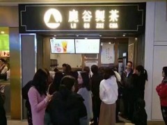 鹿谷制茶加盟帶來(lái)不錯(cuò)的生意！