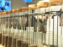 加盟喜茶為你帶來賺錢好生意