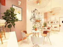 想在成都開(kāi)一家MIMO米莫的茶該怎么做？