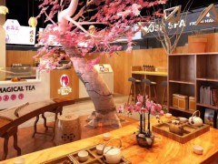 怎樣治愈茶飲店的平淡生意？加盟古戲今茶就可