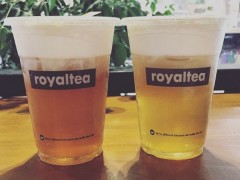 代理加盟皇茶奶茶怎么樣？