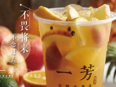 如果加盟一芳水果茶，可以獲得哪些政策扶持?