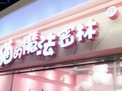 貓的魔法密林加盟6大核心優(yōu)勢(shì)，你值得擁有!