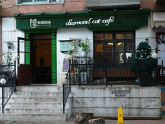 呆貓咖啡如何應(yīng)對咖啡市場的激烈競爭?