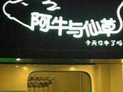 廣州加盟阿牛與仙草奶茶怎么樣?