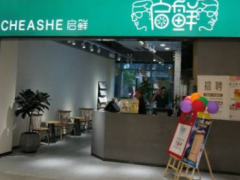 加盟開奶茶店就選啟鮮奶茶！