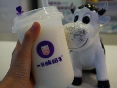 一只酸奶牛加盟費(fèi)多少錢?盡然如此額劃算!