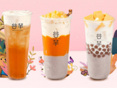 選擇谷芋奶茶的話加盟有哪些基本要素