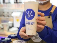 茶百道官網(wǎng)告訴你如何做到全年無淡季