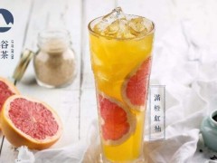 鹿谷制茶加盟店一年能賺多少錢?