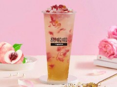 如何讓您的甜啦啦奶茶加盟店獲得更高利潤(rùn)?