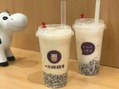 現(xiàn)在開家一只酸奶牛加盟店成本需要多少錢?