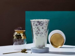 一只酸奶牛如何加盟?及相關(guān)注意事項(xiàng)明細(xì)