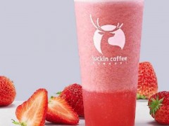 小鹿茶怎么加盟?有哪些流程?