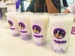 該如何加盟一只酸奶牛?加盟流程有哪些?