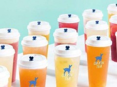 小鹿茶加盟費(fèi)高不高?加盟利潤如何?