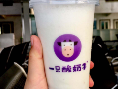 一只酸奶牛：飲品店如何合理節(jié)約成本?