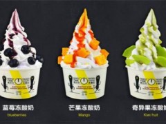 薄荷貓美式凍酸奶加盟總部在哪里？酸奶于冰激凌完美的結(jié)合！