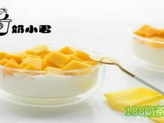 奶小君代餐酸奶加盟費(fèi)多少？奶小君代餐酸奶加盟怎么樣？