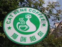 貓咪陪你主題咖啡館加盟
